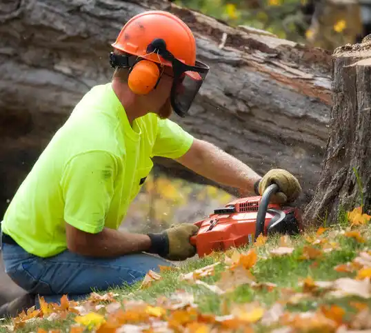 tree services Cadiz